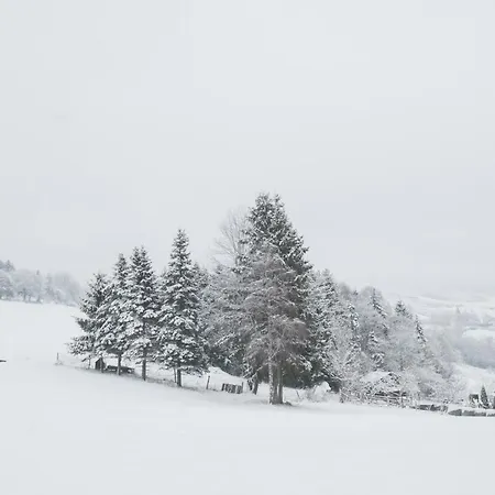 Welcome In - Komfortable Fuer 5 Personen Mit Wunderschoener Aussicht Winterberg